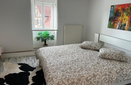 Niederschaeffolsheim Apartment | Appart Chez willi
