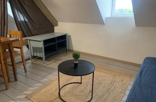 La Petite-Raon Apartment | Appart cosy, calme proche fôret