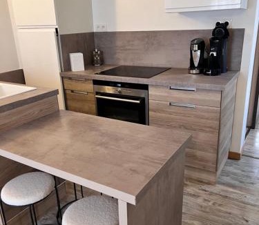 Premilhat Apartment | APPART COSY EN FACE ETANG SAULT