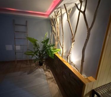 Scharrachbergheim-Irmstett Apartment | Appartment le Scharrach