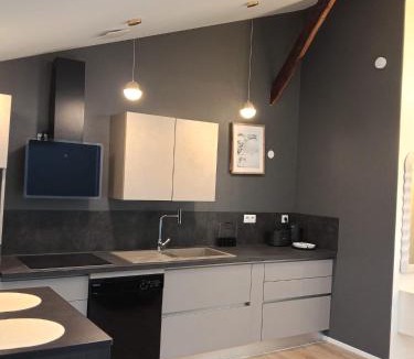 Mardie Apartment | Appart proche orleans avec accès 2h au spa par nuitée