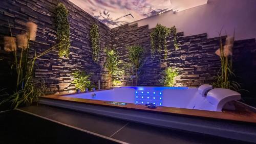 Gray Apartment | Appart' spa privatif Gray