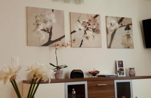Airolo Apartment | Appartamento via Luina