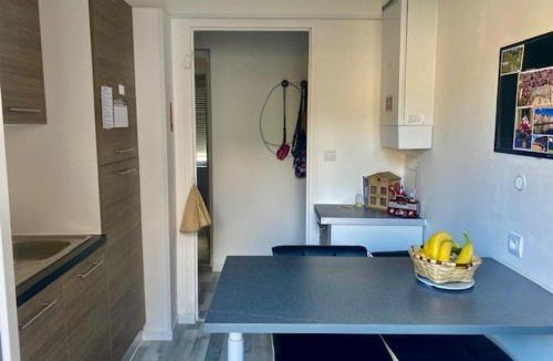 Amelie-les-Bains-Palalda Apartment | Appartement F2 rénové centre-ville Amélie-les-Bains - FR-1-703-192