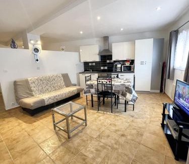 Prats-de-Mollo-la-Preste Apartment | Appartement confort avec vue montagne 35 m² idéal 3 pers