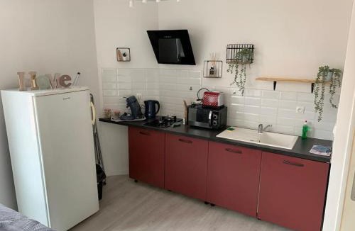 Saint-Brisson-sur-Loire Apartment | Appartement avec cour