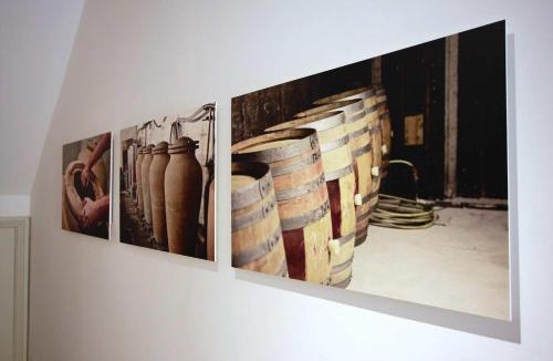 Caudies-de-Fenouilledes Apartment | Appartements du Vin