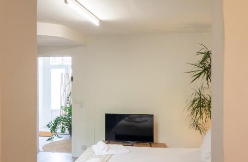 Barriere Saint Marc Apartment | Appartement à Orléans - Proche Gare d'Orléans et de Fleury les Aubrais - Le Green Mood