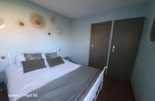Le Boulou House | Appartement-1- prive, terrasse, parking et jardin