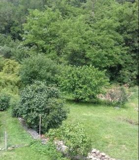 Le Martinet Apartment | Appartement 100m2 avec grand terrain