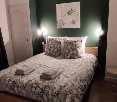 Vitre Apartment | Appartement 2 Chambres INDIaNA Hyper centre