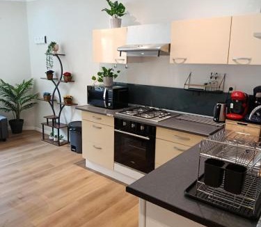 Aubigny-sur-Nere Apartment | Appartement 2