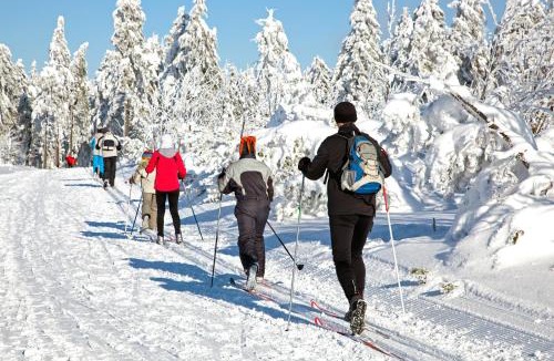 Gresy-sur-Isere Apartment | Appartement 2 pièces