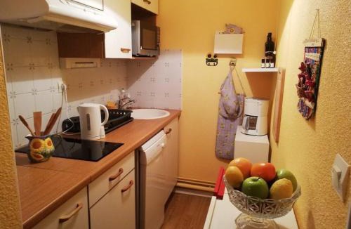 Bagneres-de-Luchon Apartment | Appartement 2 pièces cabine avec balcon, parking, animaux admis, Wi-Fi - FR-1-313-195