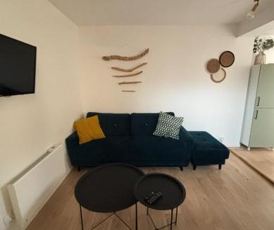 Tarbes Apartment | Appartement 2 pièces situé en face du jardin Massey et gare accessible à pied