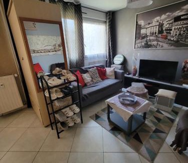 Echirolles Hostel | appartement 3 chambres, idéal pour déplacement