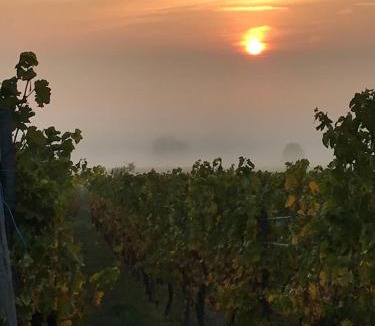 Le Hohwald Apartment | Appartement Adélaïde