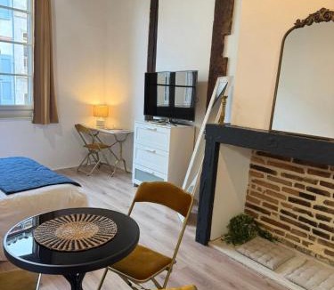 Albi Apartment | Appartement - Albi Cathédrale