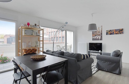 Lille-Moulins Apartment | Appartement Allan - Welkeys