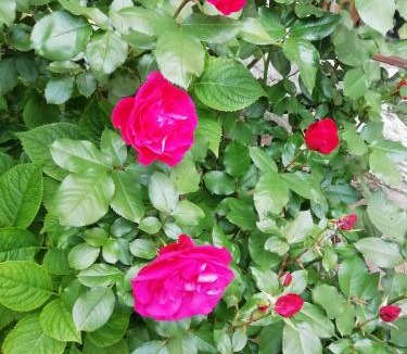 Lery Apartment | Appartement au bord de l'Eure