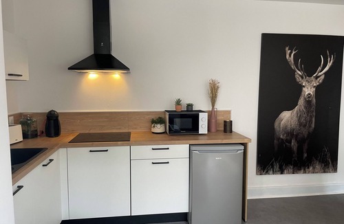 Bruyeres Apartment | Appartement au Centre Ville