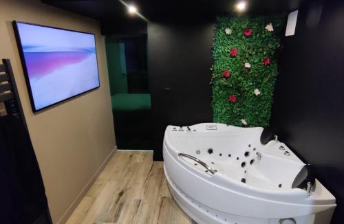 Villiers sur Orge Apartment | Appartement avec jacuzzi