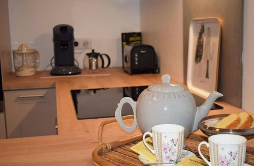 Nerac Apartment | Appartement Avec Accès Piscine et Jardin Dans Hôtel Particulier