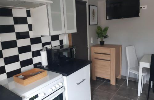 Vieille-Brioude Apartment | appartement avec terrasse