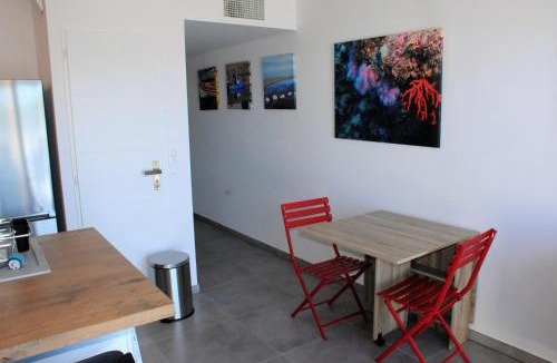 Banyuls-sur-Mer Apartment | Appartement avec grande terrasse vue sur mer