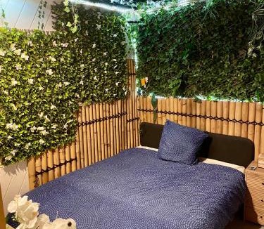 Castres Apartment | Appartement avec Jaccuzi & Jardin