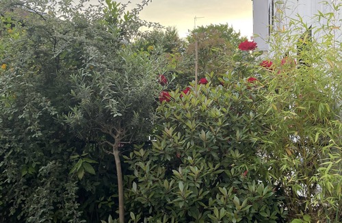Montrouge Apartment | Appartement Avec Jardin Plein sud Idéal Famille Jeunes Enfants