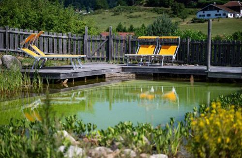 Gerardmer Apartment | Appartement avec Sauna et piscine Gérardmer Le Domaine des Fleurs
