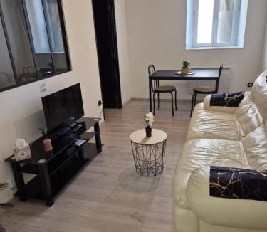Saint-Gaudens Apartment | Appartement Avenue