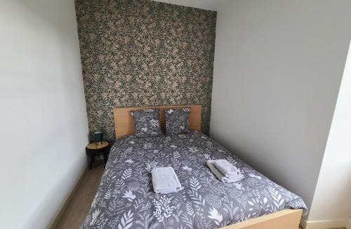 Vitre Apartment | Appartement BLUEMA 2 chambres RdC, proche gare, vue sur le château