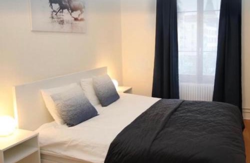 Paquis Navigation Apartment | Appartement business
