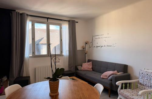 Oloron-Sainte-Marie Apartment | Appartement cosy