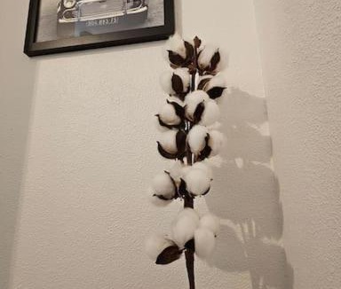 Lievin Apartment | Appartement calme