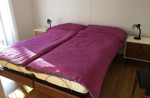 Olivone Apartment | Appartement Casa Rancurina