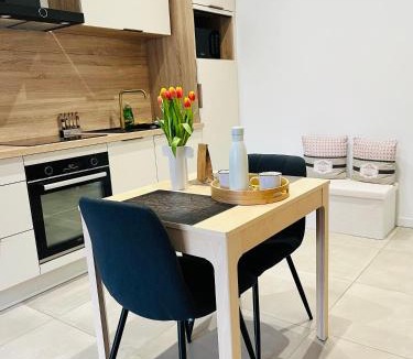 Roanne Apartment | Appartement centre de Roanne 38m2