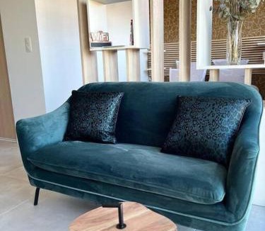 Roanne Apartment | Appartement centre de Roanne 38m2