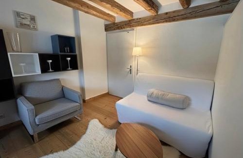 Downtown Geneva Apartment | Appartement Centre Ville