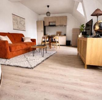 Le Blanc Apartment | Appartement Centre ville Le blanc