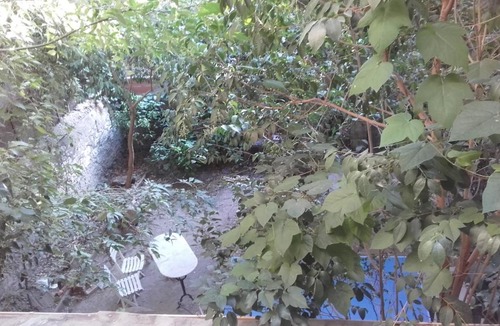 Convention Apartment | appartement centre vue jardin