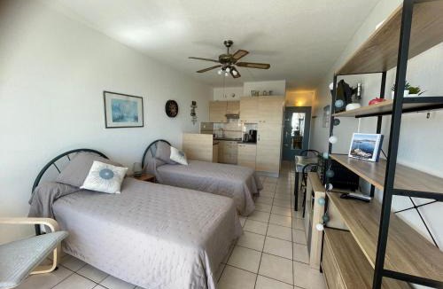 Balaruc-les-Bains Apartment | Appartement chaleureux avec balcon, animaux admis, pour cure ou vacances - FR-1-503-85