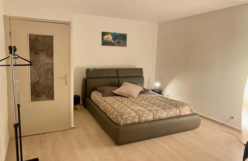 Schirmeck Apartment | Appartement « Chez Falco » vue sur le château
