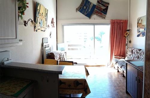 Argeles Plage Apartment | Appartement climatisé avec piscine, parking - Argelès-sur-Mer - FR-1-388-48
