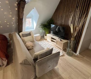Solre-le-Chateau Apartment | Appartement cocooning