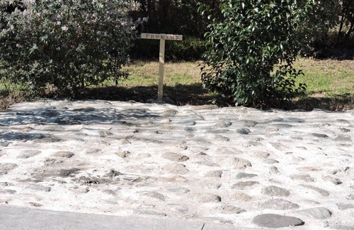 Codalet Apartment | Appartement-codalet