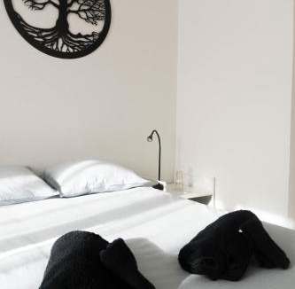 Quartier Pasteur Apartment | Appartement confort à Rouen
