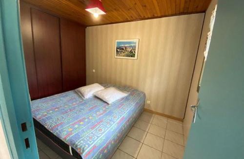 Montbolo Apartment | Appartement confortable avec parking et acceptant les animaux à Arles-sur-Tech - FR-1-703-99